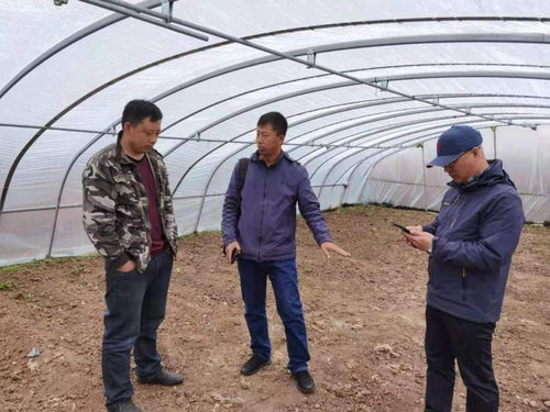 百期網課開新局，科技助農譜新篇——市農業科學院“學史力行慶華誕”網絡課堂圓滿結課